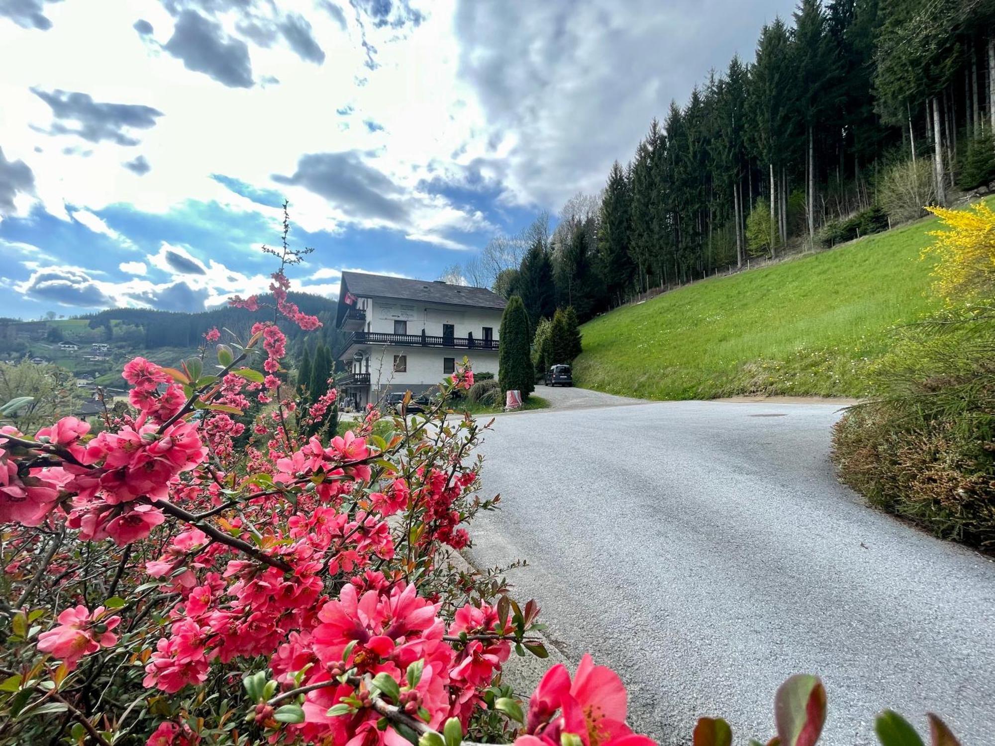 Alpenpension Gasthof Ratten Exterior foto